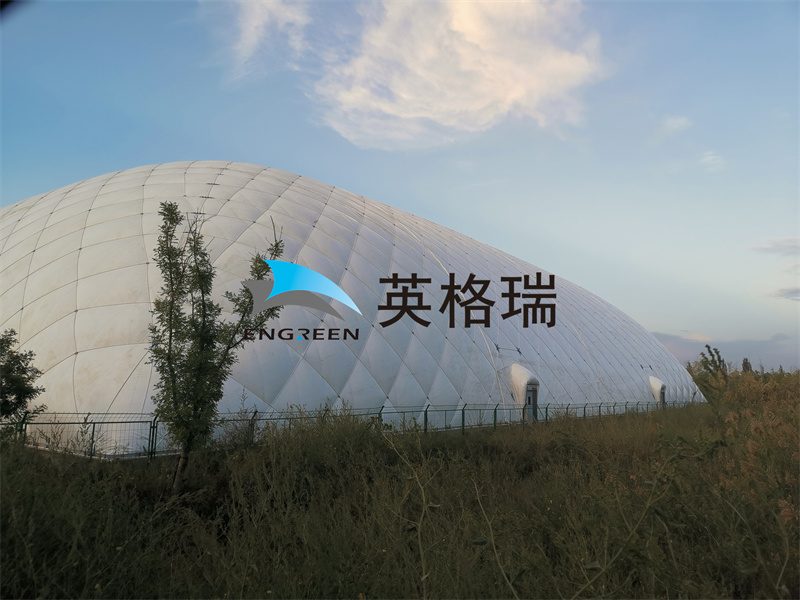 草莓视频下载网址体育馆是团建活动的适当场所
