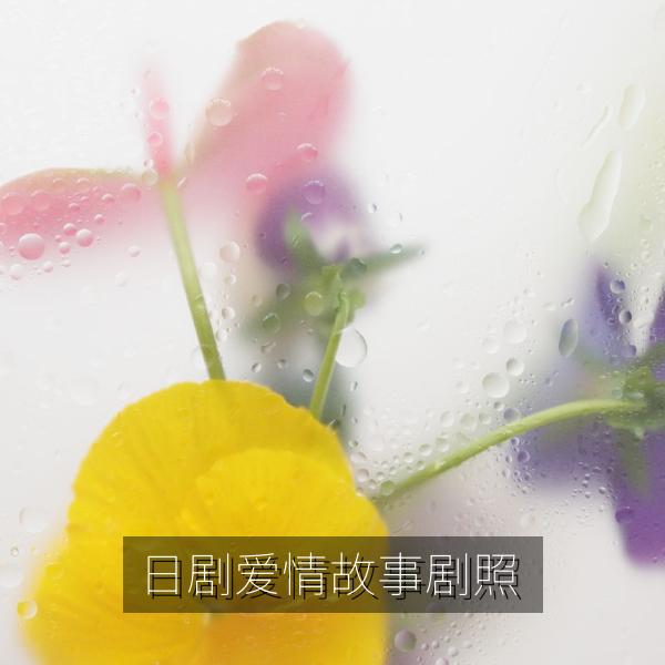 日剧爱情故事剧照